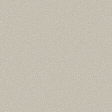 Papel Pintado Vermicelli 107-4019 - COLE and SON