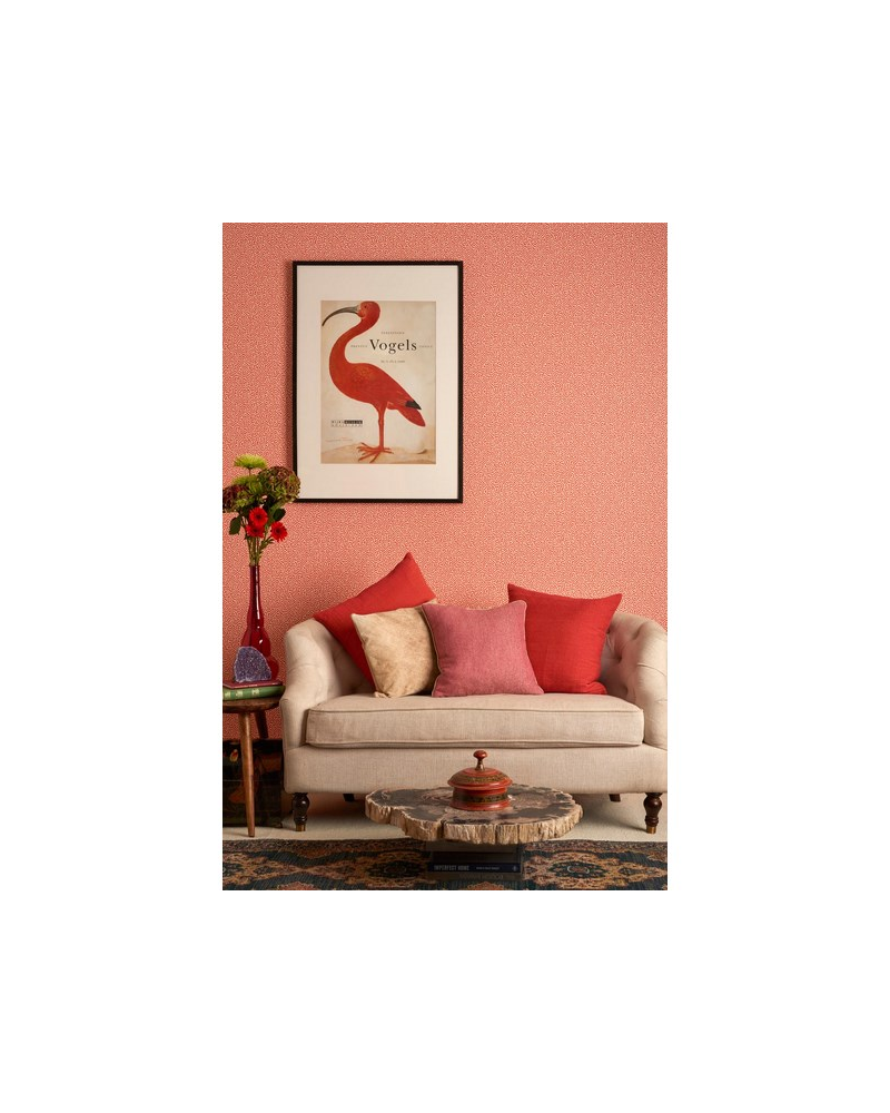 Papel Pintado Vermicelli 107-4019 - COLE and SON