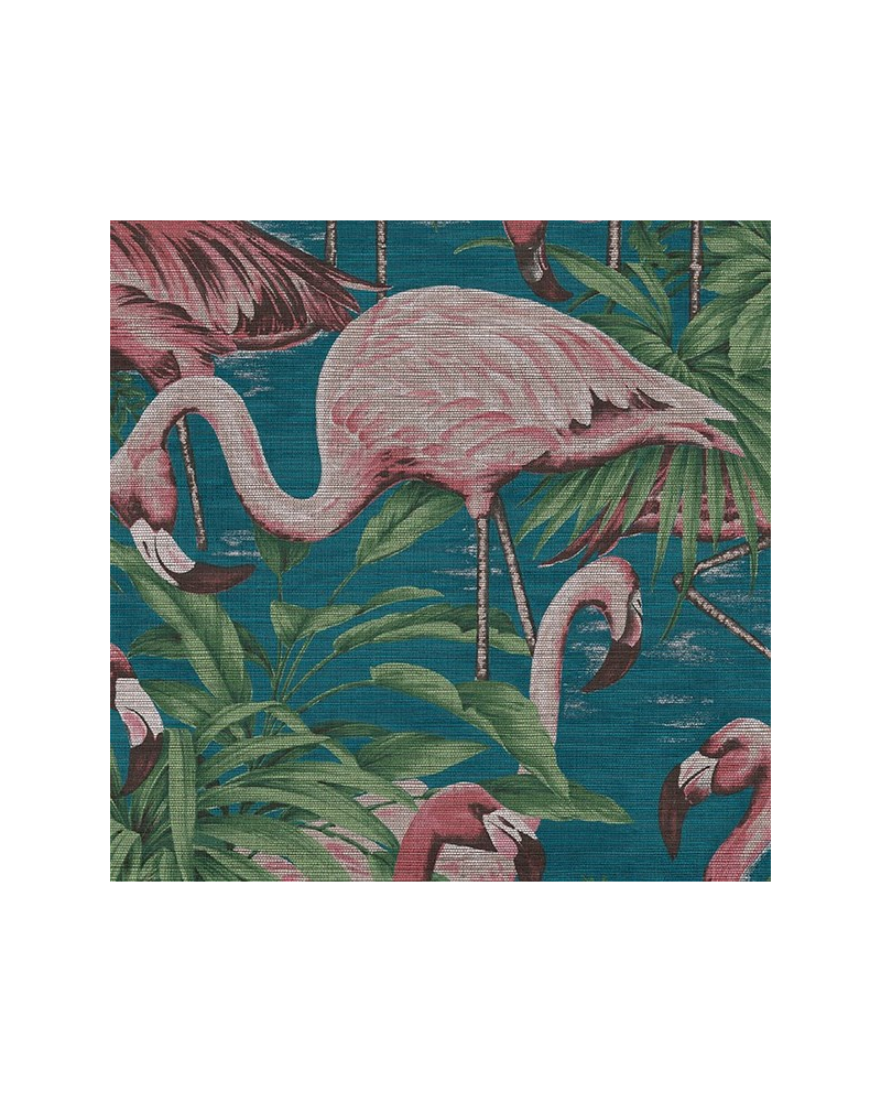Flamingo_31541