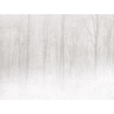 Papel Pintado Vinterskog 622-18 Grey - SANDBERG
