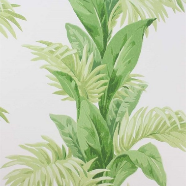 Papel Pintado Palmeto NCW4274-01 - NINA CAMPBELL