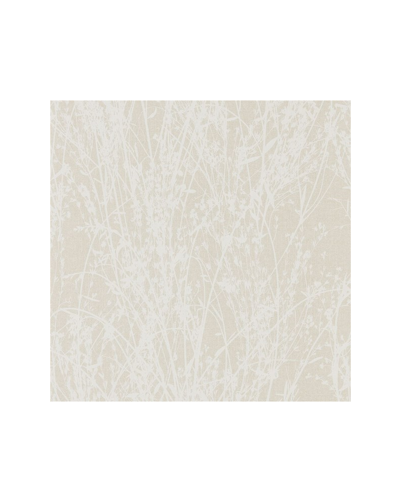 MEADOW CANVAS DWOW215695-white parchment