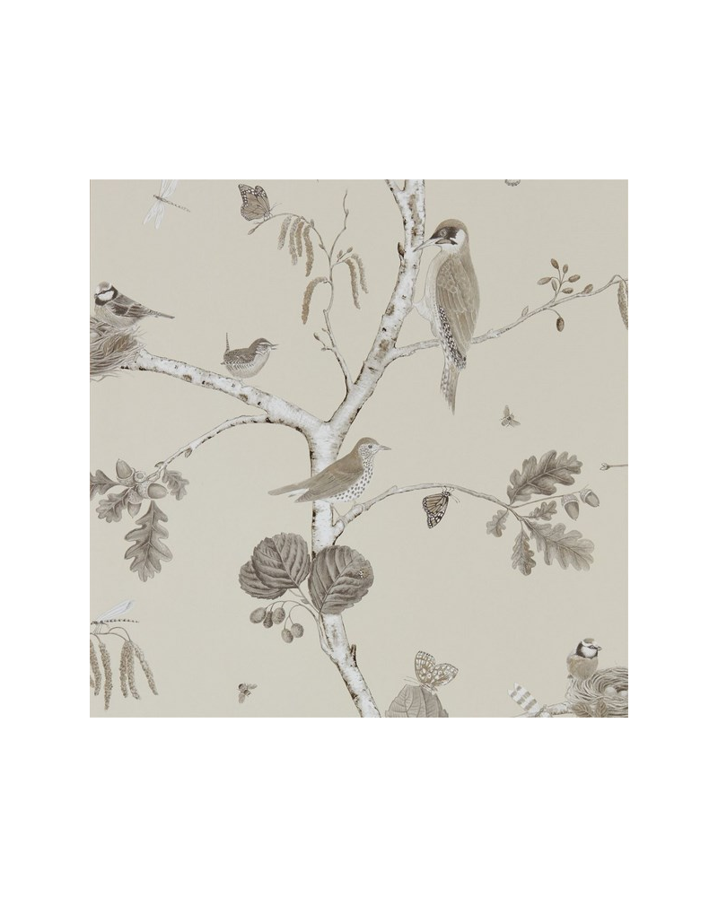 WOODLAND CHORUS DWOW215704-sepia neutral