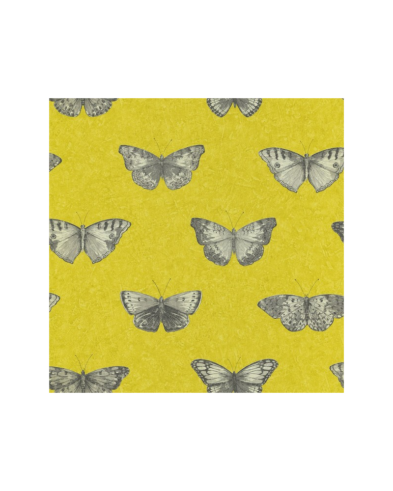 Papel Pintado SRE68212090 - Caselio