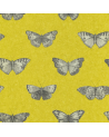 Papel Pintado SRE68212090 - Caselio