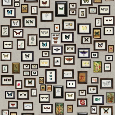 Papel Pintado W6953-01 NARISSA - MATTHEW WILLIAMSON