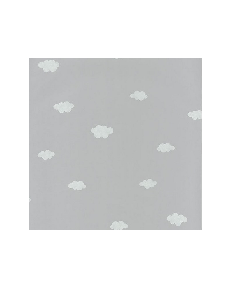 MLW29759332 NUAGES GRIS