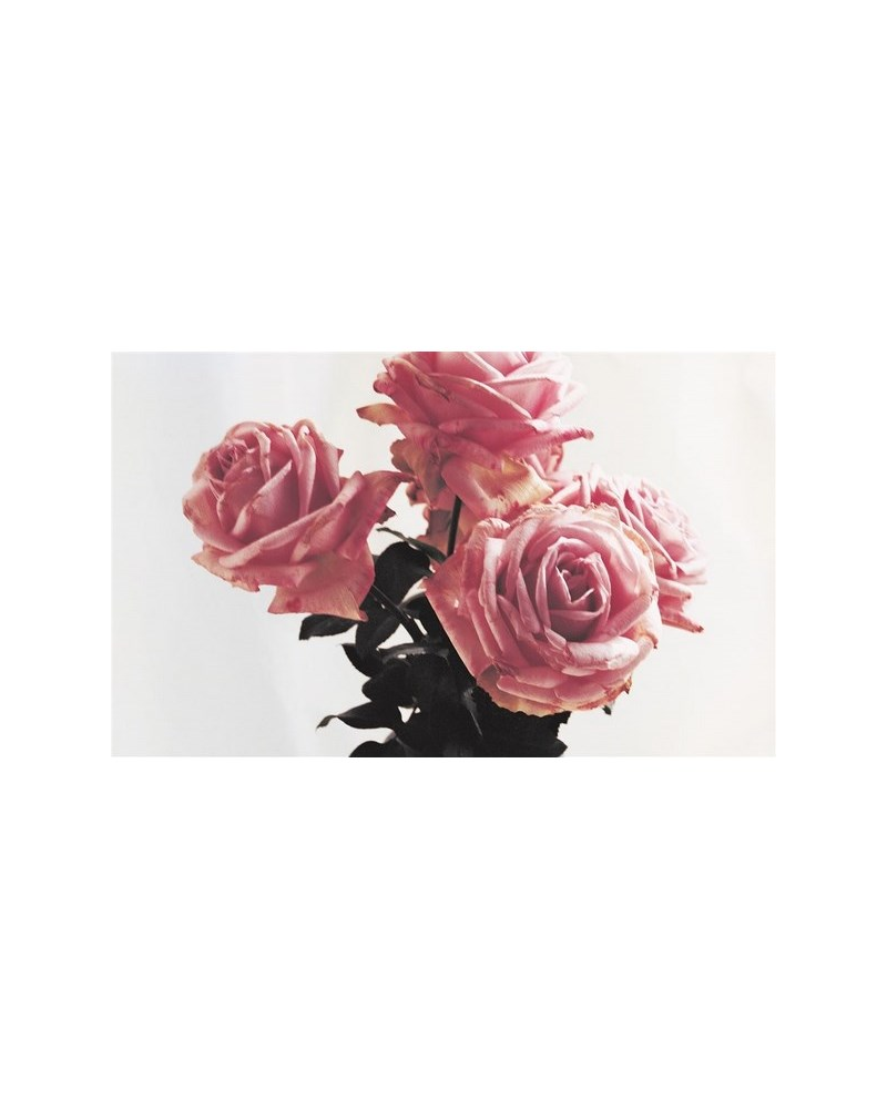 Papel Pintado PRL703-06 Mapleton Stripe Antique Rose - Ralph Lauren Home
