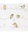 Papel Pintado HSTO111484 PERSICO - Harlequin