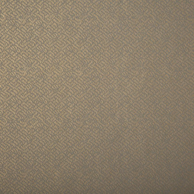 Papel Pintado Tonalita 21573 - LIZZO