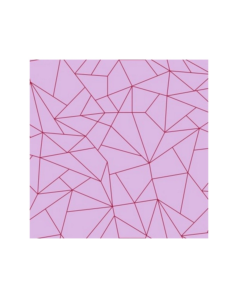 5900060 - FRACTALISIMI PINK