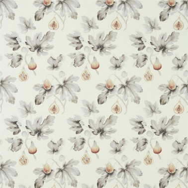 Tela DART226326 FIG HARVEST Sanderson