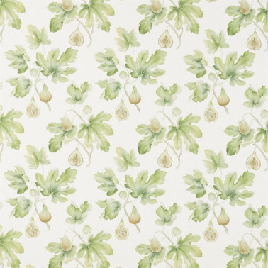 Tela DART226329 FIG HARVEST Sanderson