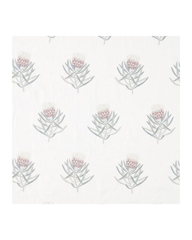 Tela DART236352 PROTEA FLOWER Sanderson Tela DART236352 PROTEA FLOWER Sanderson
