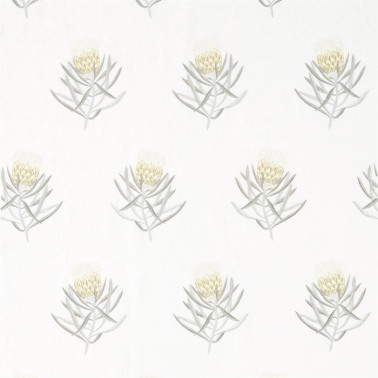 Tela DART236355 PROTEA FLOWER Sanderson