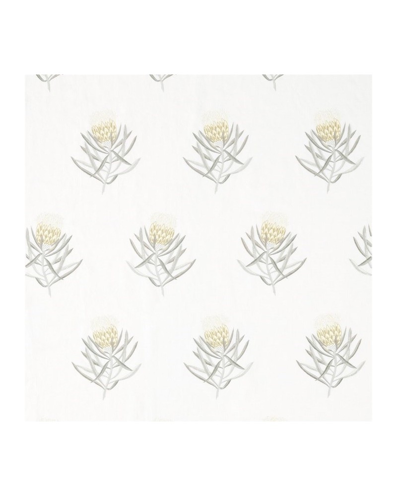 Tela DART236355 PROTEA FLOWER Sanderson Tela DART236355 PROTEA FLOWER Sanderson