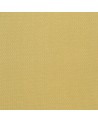 GDT-5384-006 Donald Amarillo