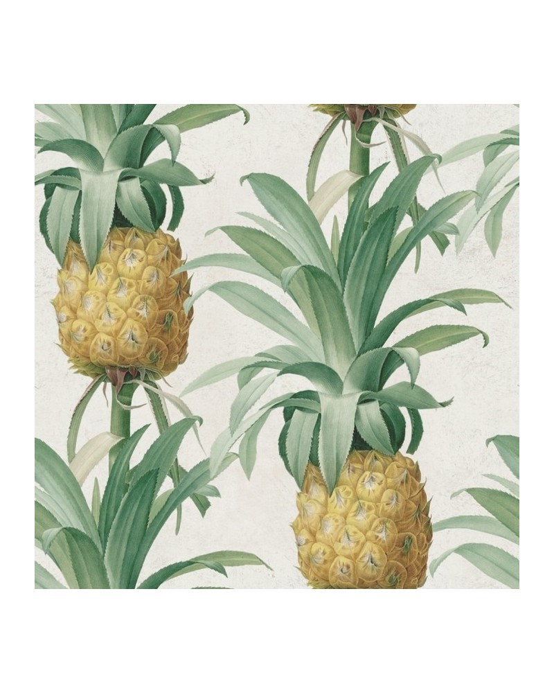 ANANAS WP20090