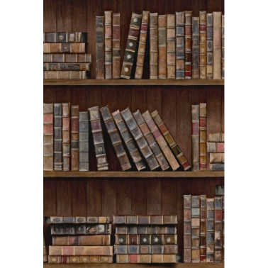 Papel Pintado BOOK SHELVES WP20112 - MIND THE GAP