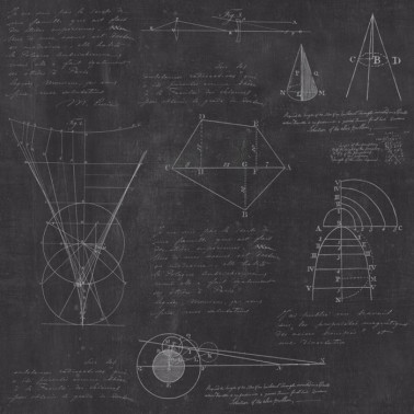 NEWTON GEOMETRY WP20046