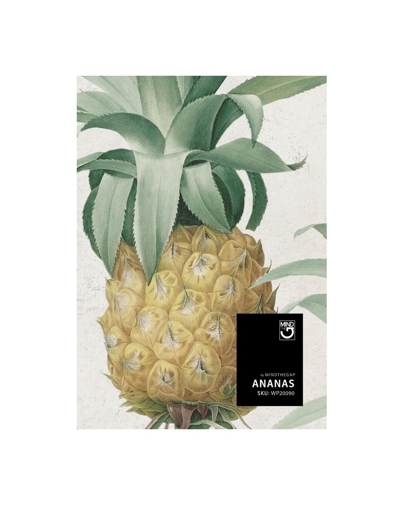 ANANAS WP20090