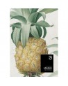Papel Pintado ANANAS WP20090 - MIND THE GAP