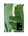 Papel Pintado BANANA LEAVES WP20111 - MIND THE GAP