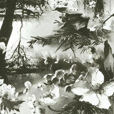Papel Pintado BRUME - ECRU-NOIR 3307-01 - JEAN PAUL GAULTIER