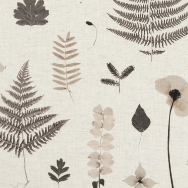 Tela F1089-02 HERBARIUM CHARCOAL NATURAL CLARKE & CLARKE