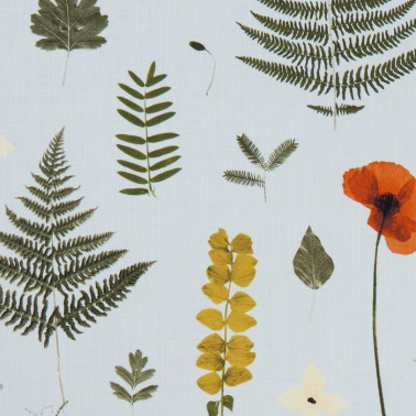 Tela F1089-04 HERBARIUM MINERAL CLARKE & CLARKE