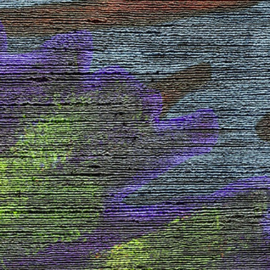 Papel Pintado VP-856-01 - Elitis