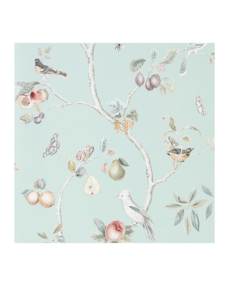 Papel Pintado DART216312 FRUIT AVIARY - Sanderson