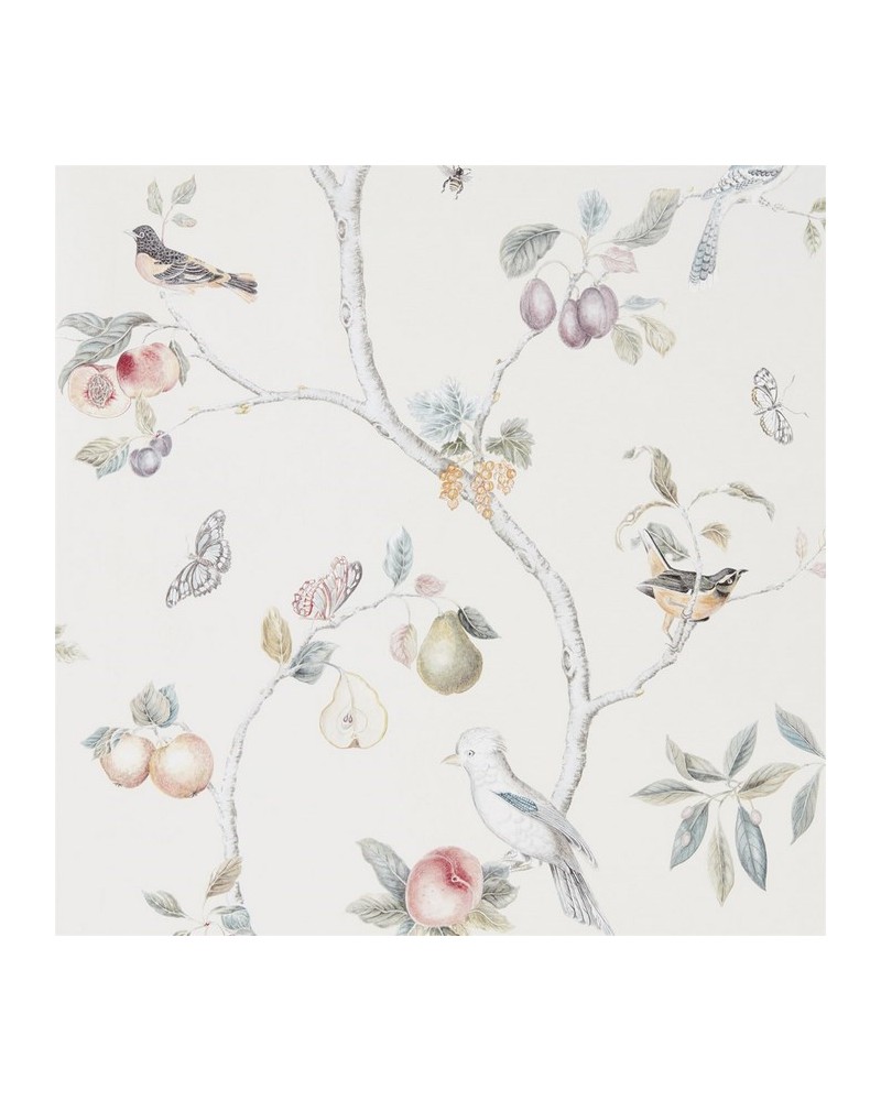 Papel Pintado DART216314 FRUIT AVIARY - Sanderson