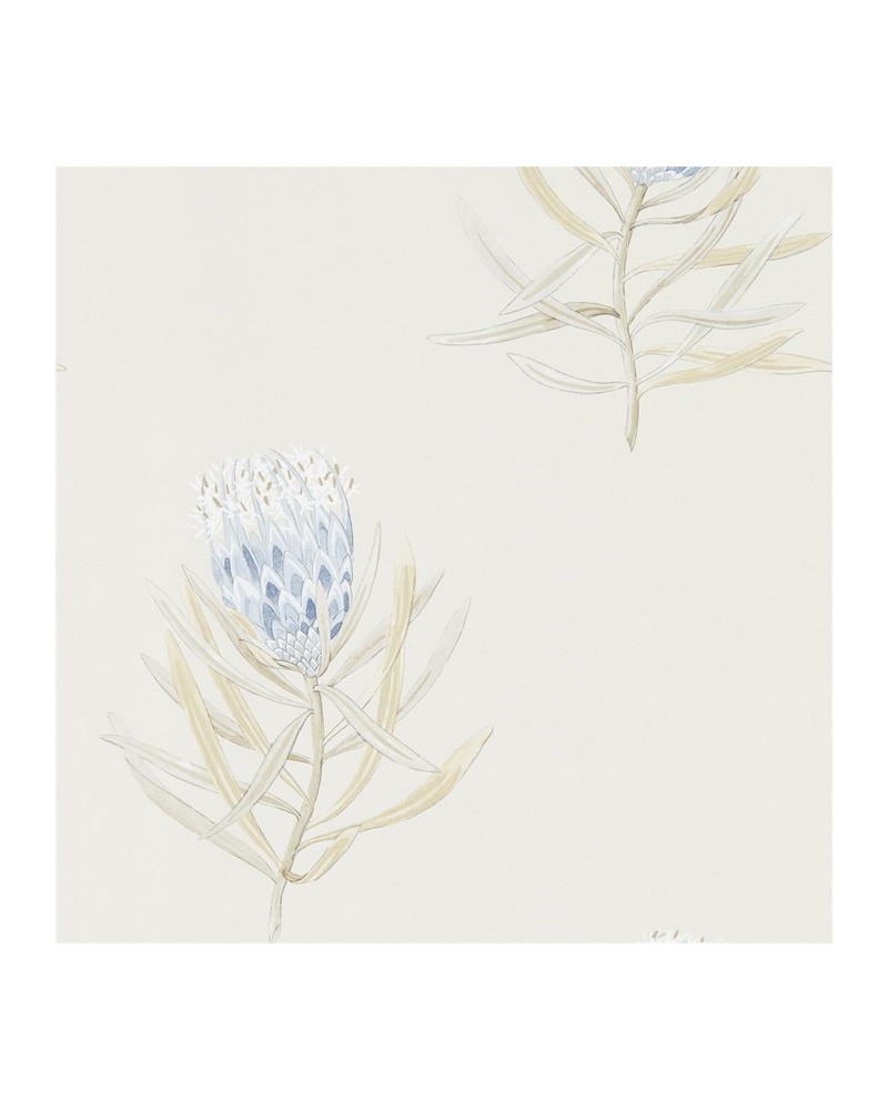 Papel Pintado DART216327 PROTEA FLOWER - Sanderson