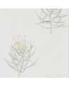 DART216328 PROTEA FLOWER