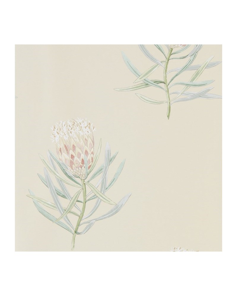 Papel Pintado DART216329 PROTEA FLOWER - Sanderson