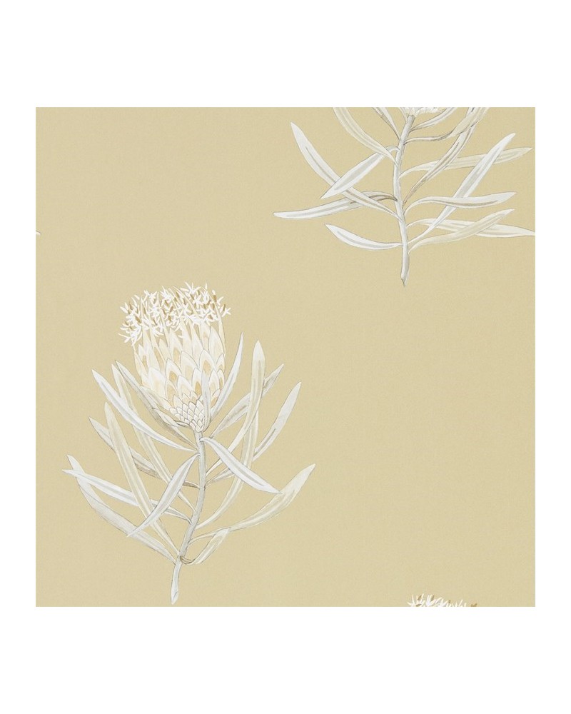 Papel Pintado DART216331 PROTEA FLOWER - Sanderson