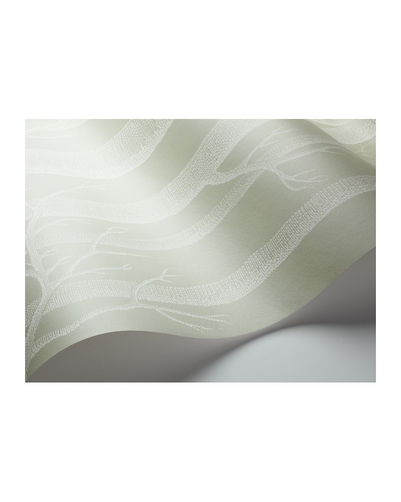 Papel Pintado 112-3013 WOODS - COLE and SON