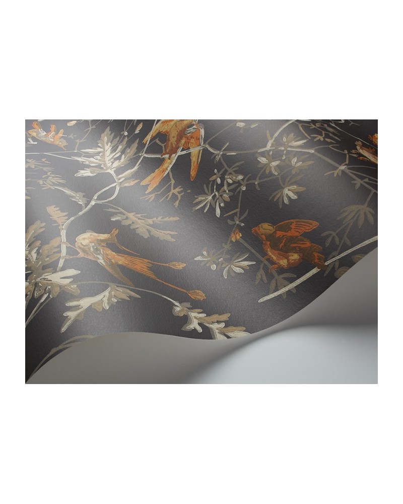 Papel Pintado 112-4017 HUMMINGBIRDS - COLE and SON