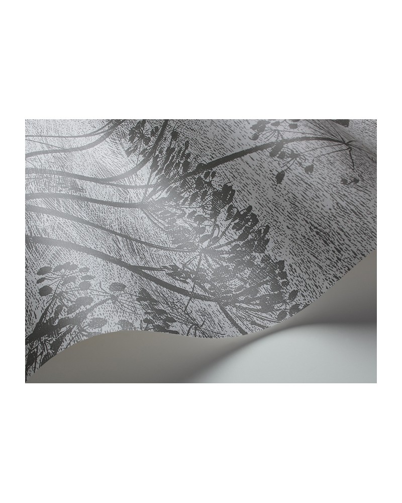Papel Pintado 112-8026 COW PARSLEY - COLE and SON