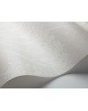 Papel Pintado 112-8027 COW PARSLEY - COLE and SON