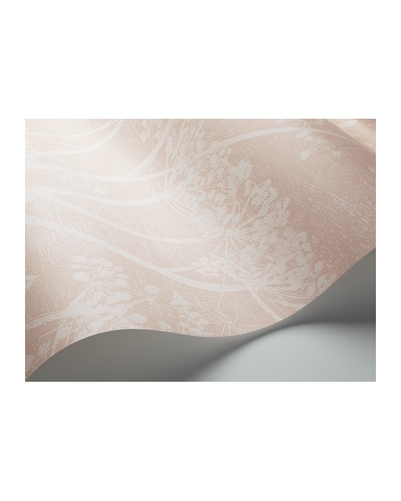 Papel Pintado 112-8028 COW PARSLEY - COLE and SON