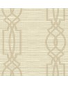 Papel Pintado OY33708 TRELLIS - WALLQUEST