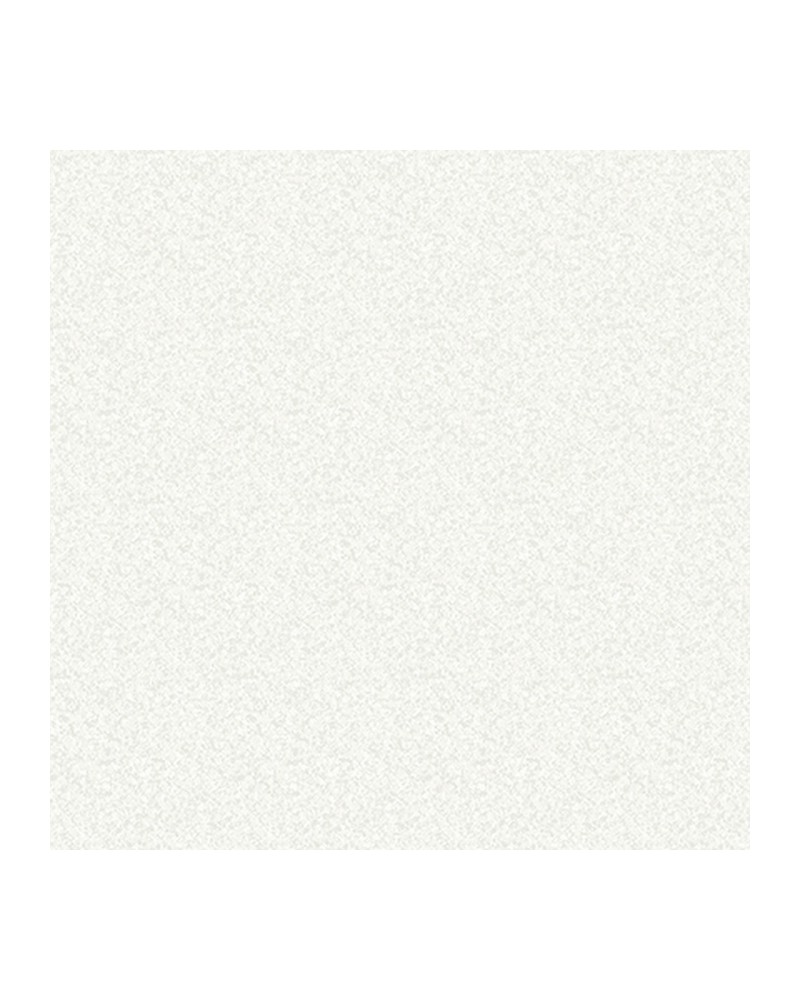 OY34220 SPECKLE FAUX FINISH