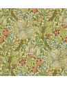 DMCR216464 GOLDEN LILY