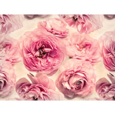 Papel Pintado R13091-8 SUMMER WIND - REBEL WALLS
