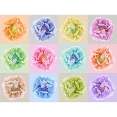 Papel Pintado R13151-8 POPPY ART ANDY - REBEL WALLS
