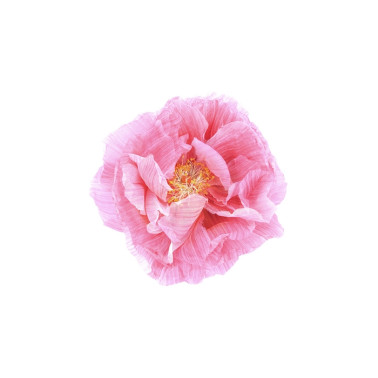 Papel Pintado R13161-8 POPPY ART - REBEL WALLS