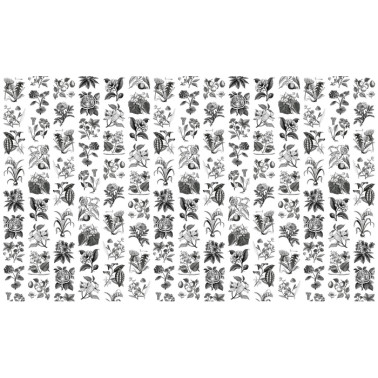 Papel Pintado R13171-4 FRUIT & FLORA - REBEL WALLS