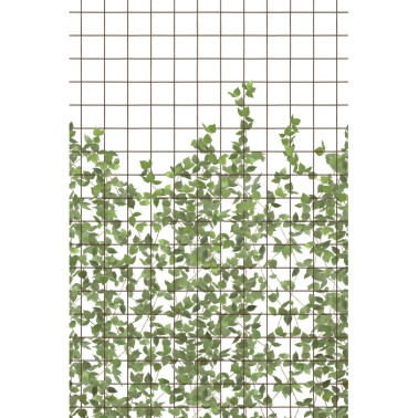 Papel Pintado NO 6 - Pasion R13993 - REBEL WALLS